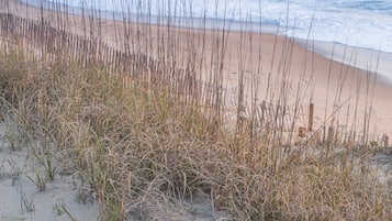 A beach with sand and tall grasses in the foreground, leading to the ocean.