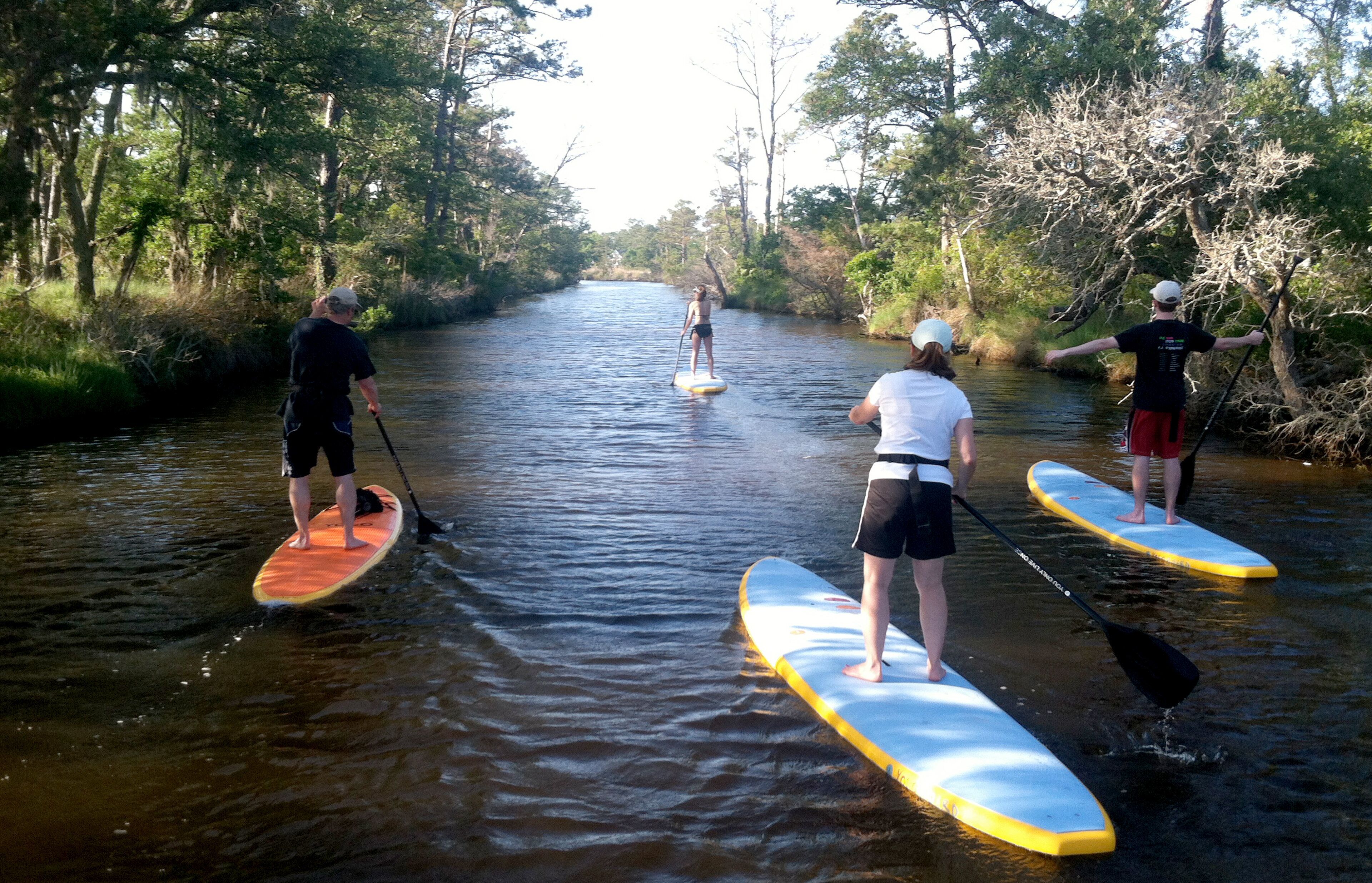 Un gruppo di persone fa paddleboarding su un fiume circondato da alberi.