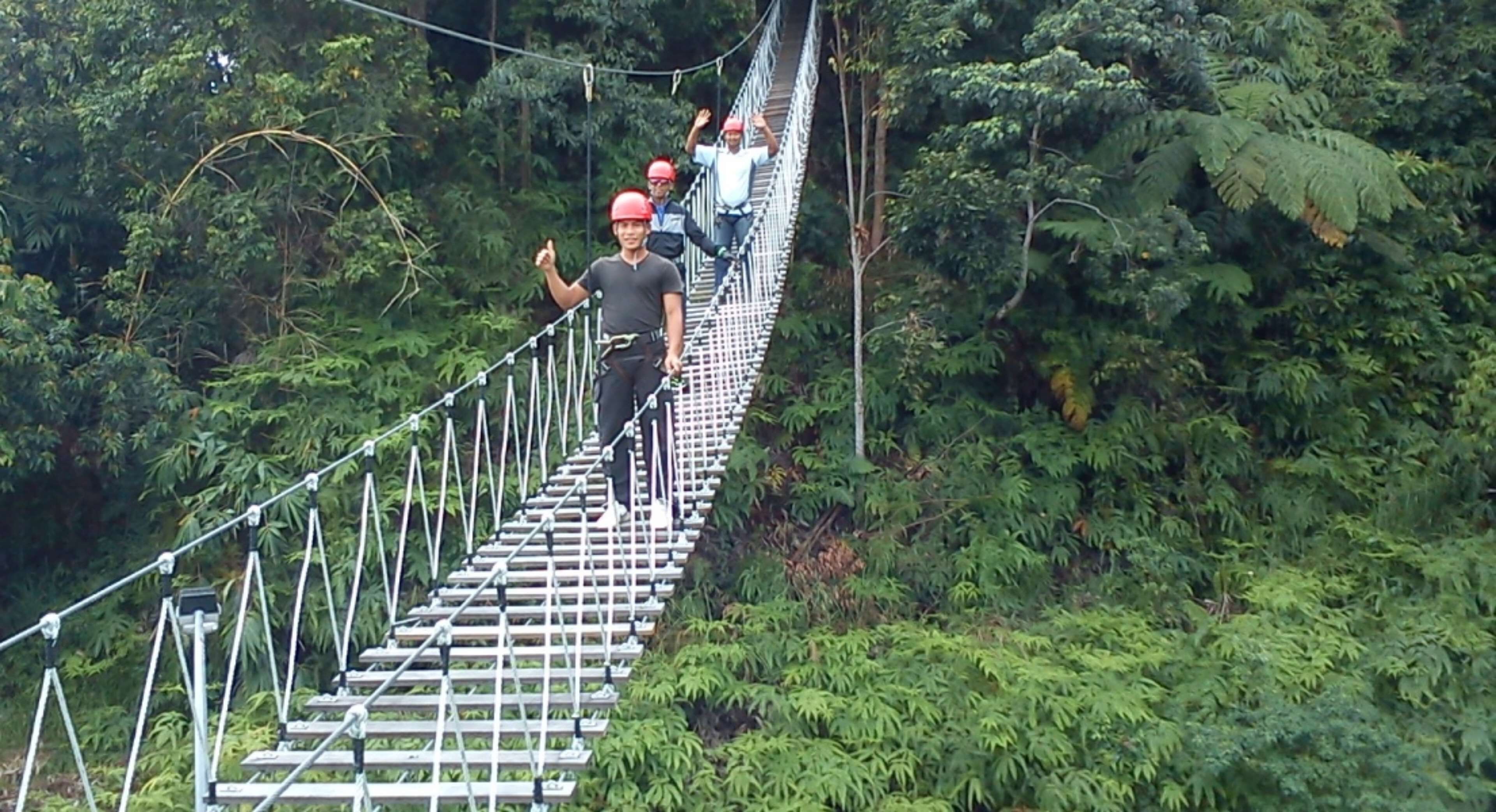 A suspension bridge in a forested area with people wearing safety helmets.