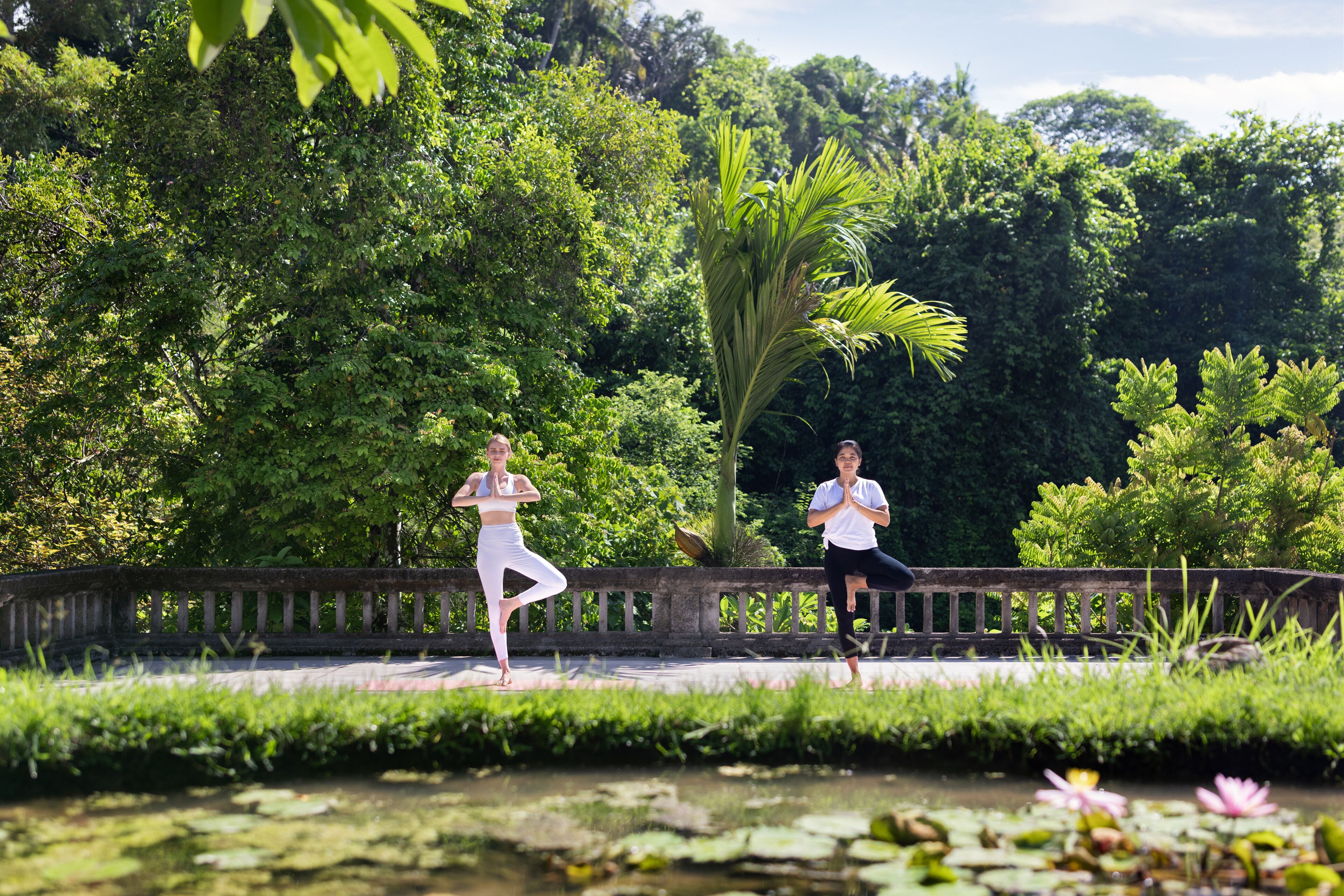Two people practicing yoga on a bridge over a pond surrounded by lush greenery.