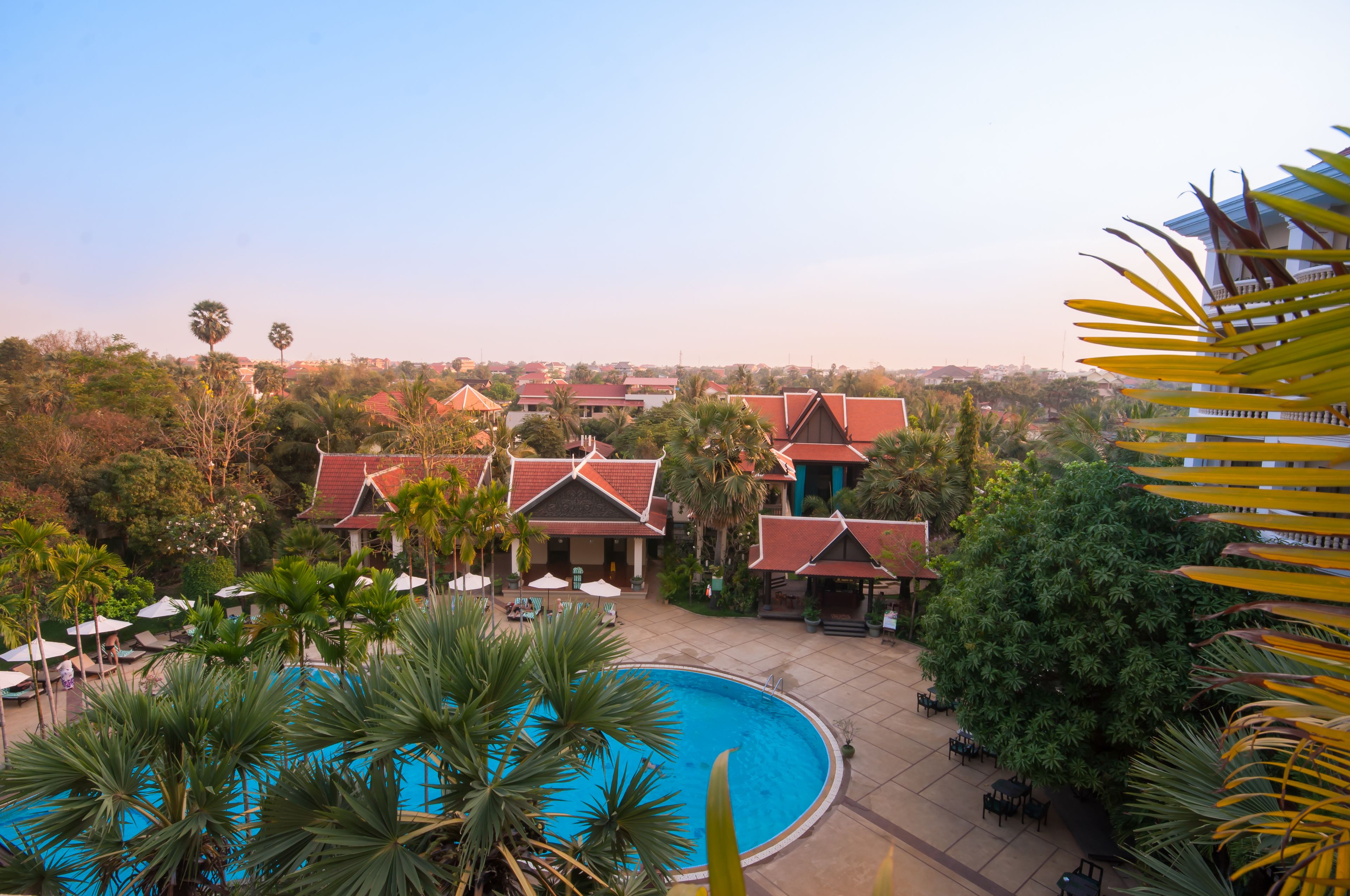 Un resort con piscina rodeada de palmeras y vistas a la ciudad al fondo.