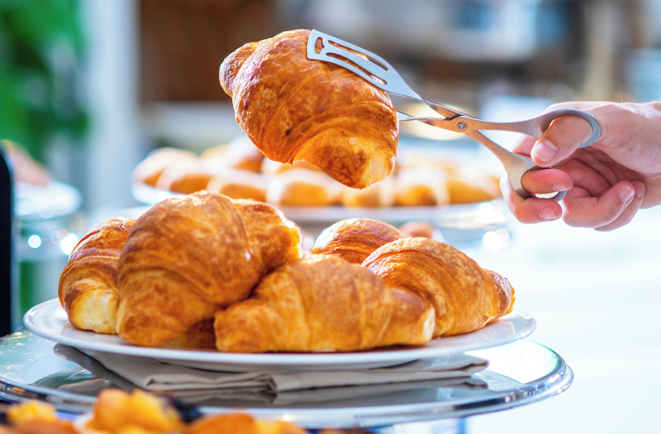 free daily continental breakfast