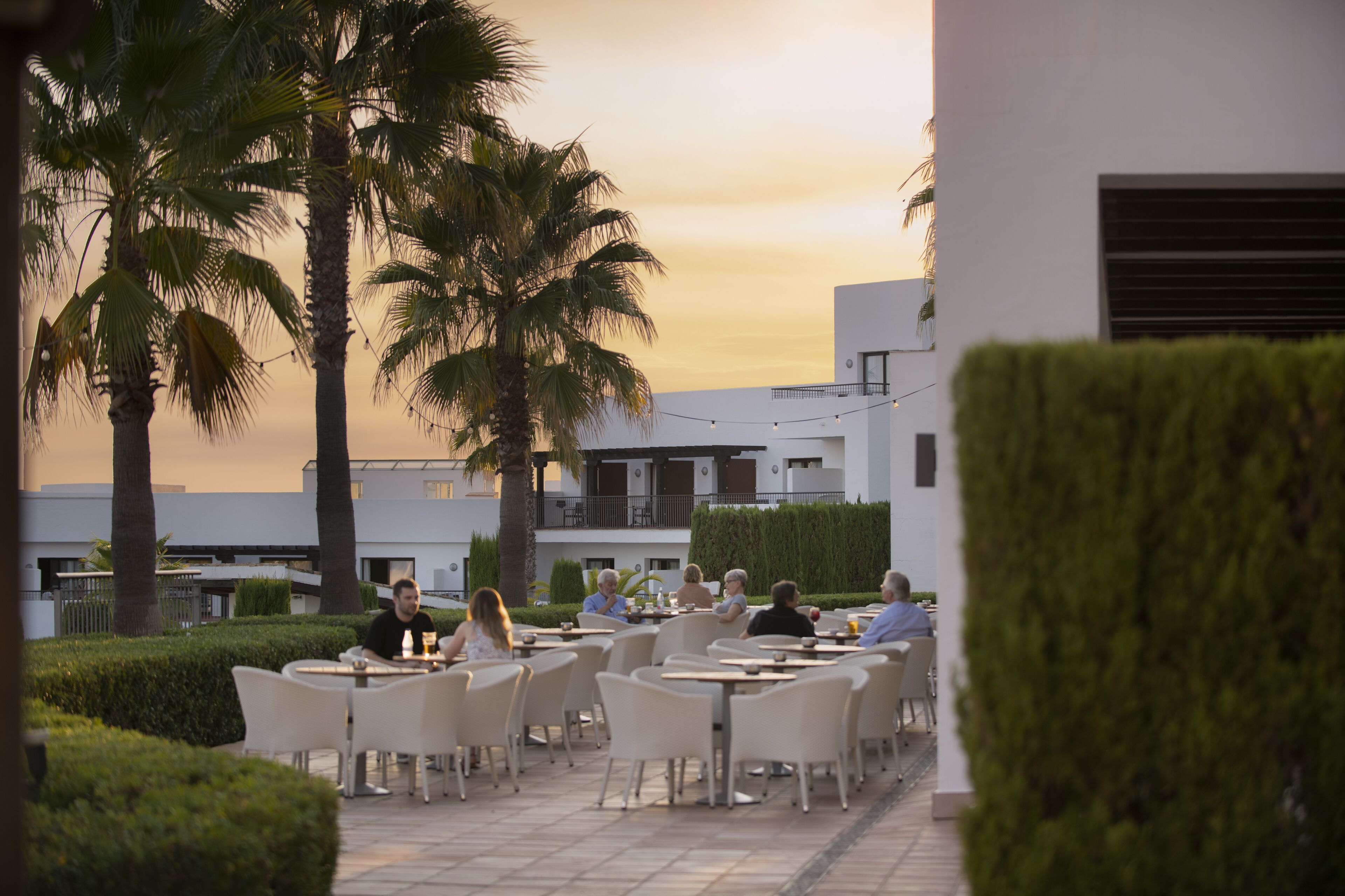 An outdoor dining area with tables and chairs, palm trees, and a building in the background.