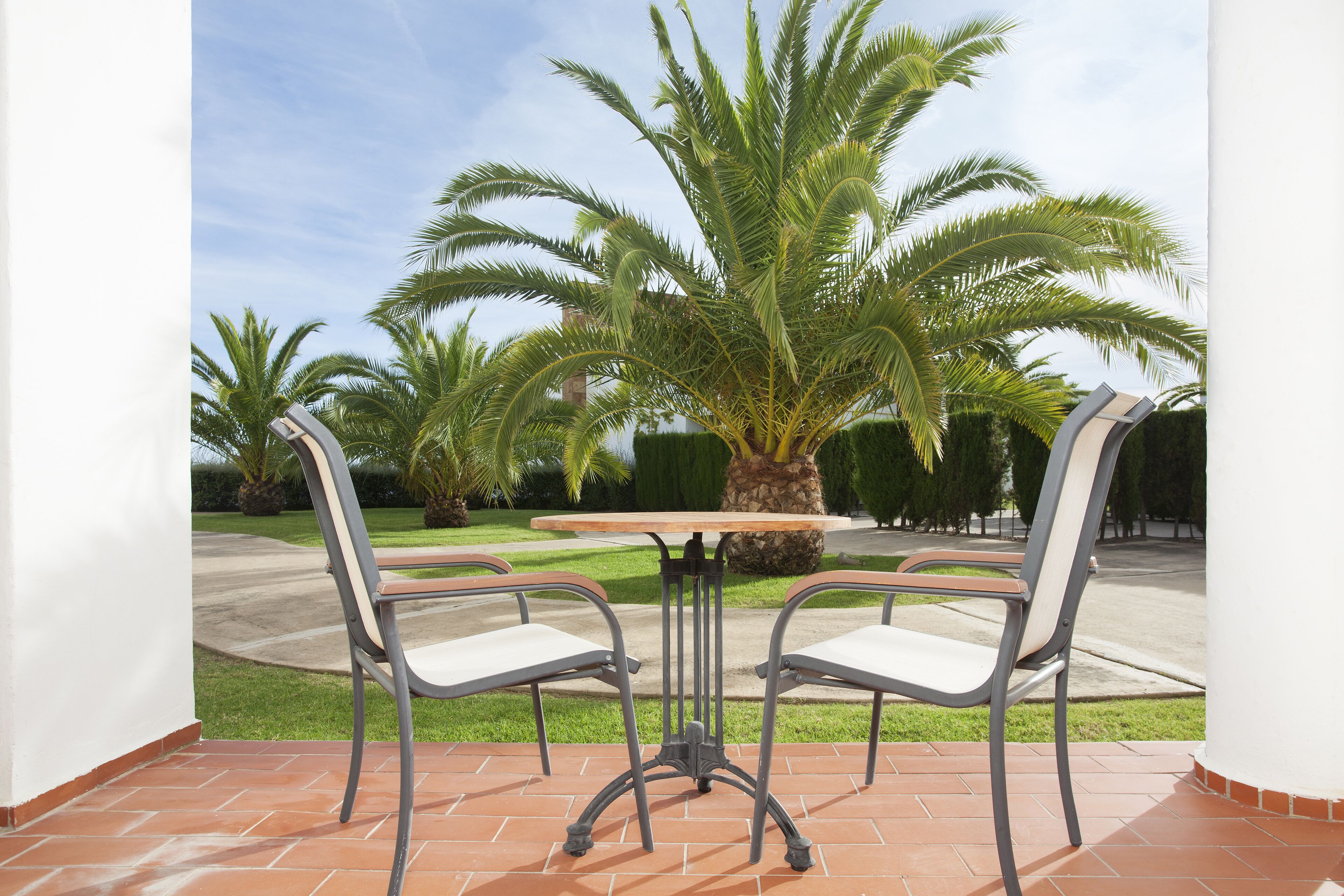 A patio with a table and four chairs, surrounded by palm trees.