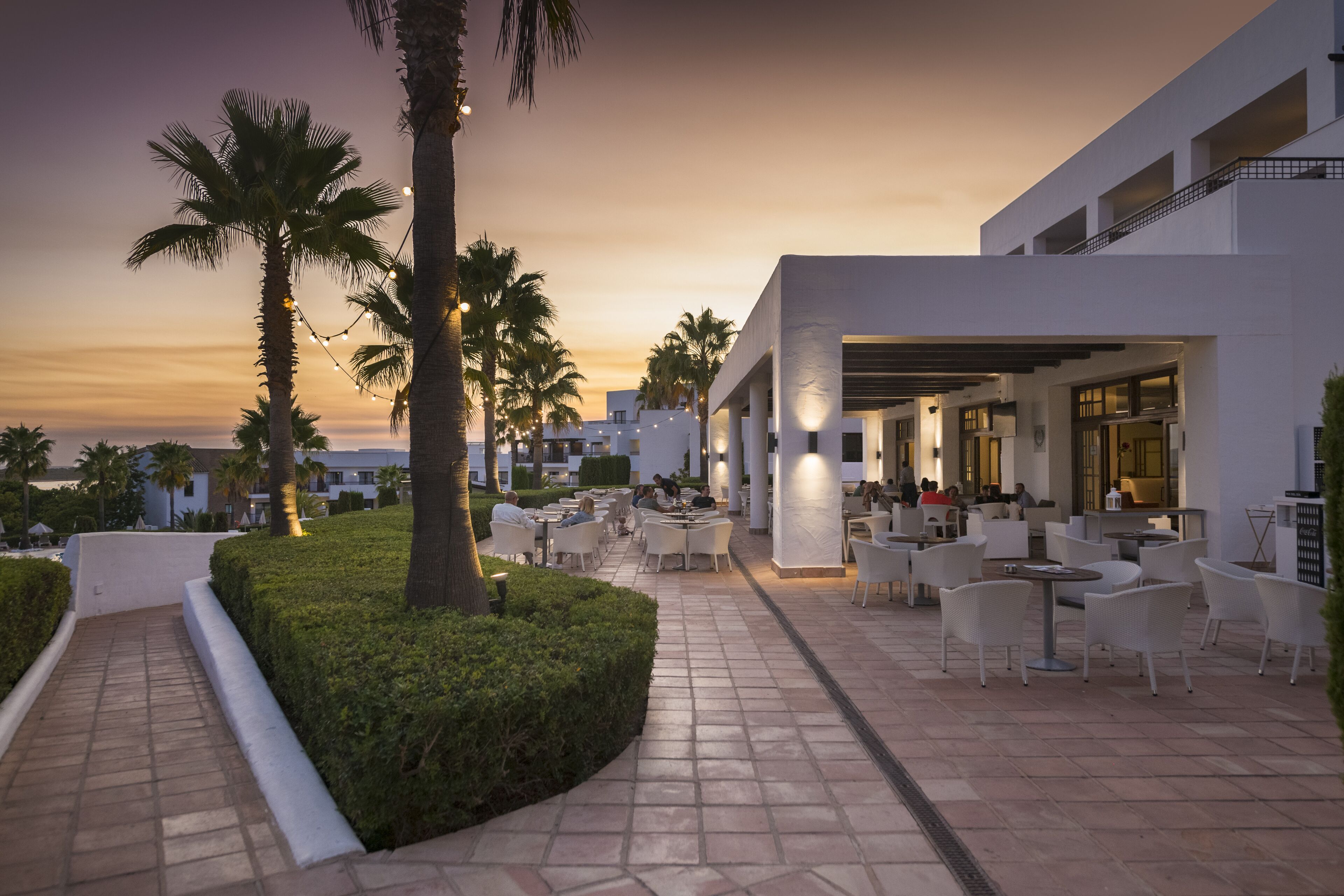 Bar (en el alojamiento)