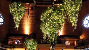 Un espace intérieur à plusieurs niveaux, agrémenté de plantes suspendues et doté d’un bar.