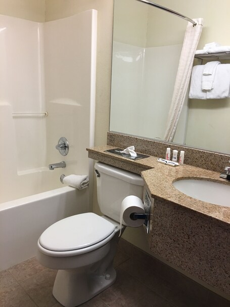 Microtel Inn Suites by Wyndham Indianapolis Airport - Image 55