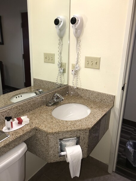 Microtel Inn Suites by Wyndham Indianapolis Airport - Image 24