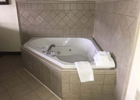 Microtel Inn Suites by Wyndham Indianapolis Airport - Image 9
