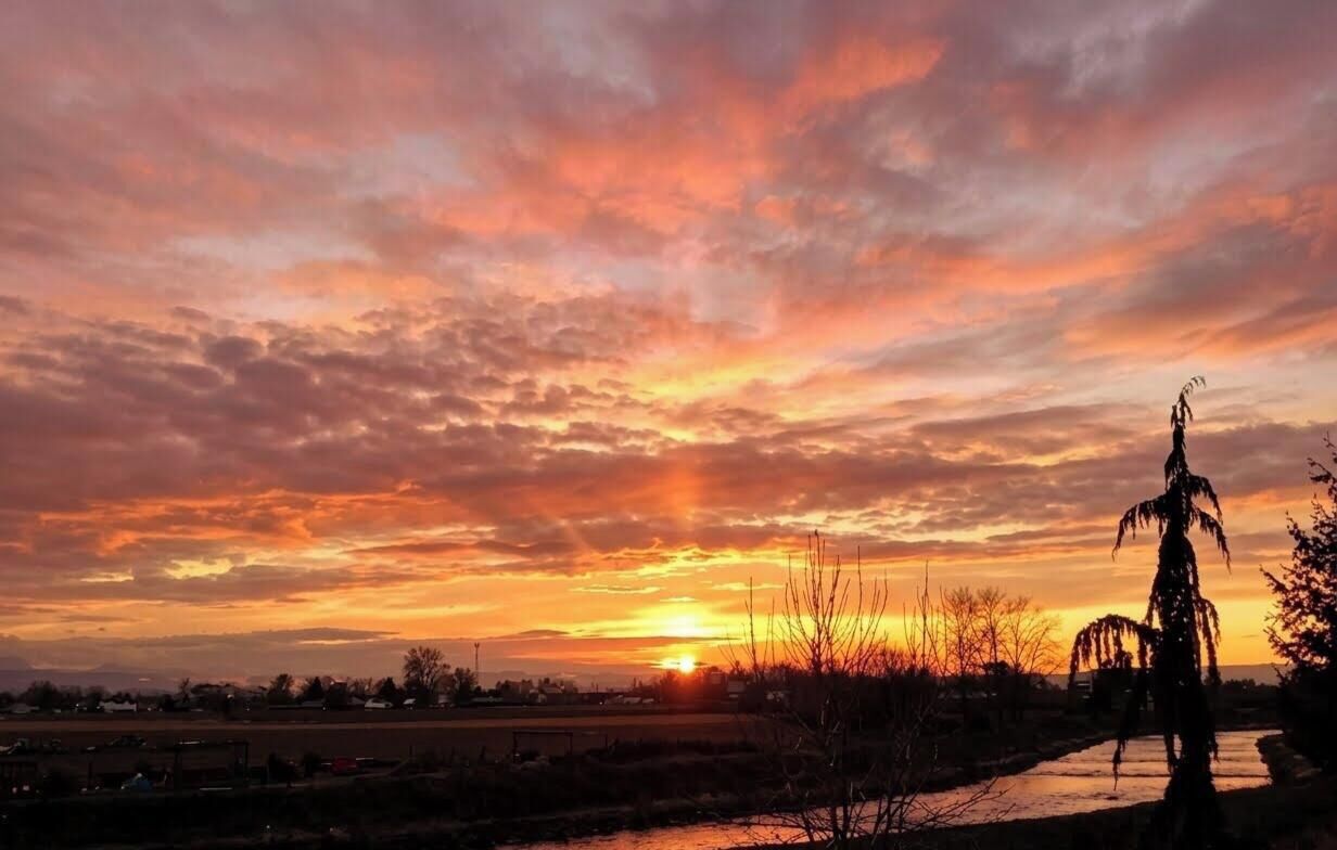 A sunset over a rural landscape with a silhouette of a tree and a body of water.