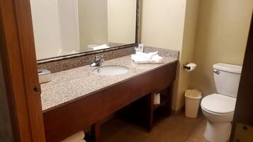 A bathroom with a granite countertop sink, a mirror, a toilet, and a trash bin.