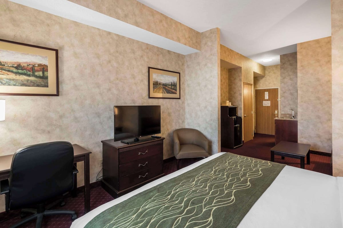 Suite, 1 King-Bett und Schlafsofa, Nichtraucher