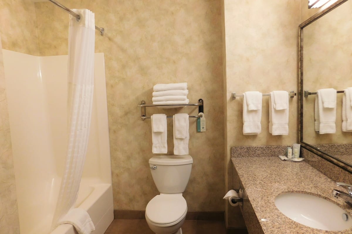 combined shower/bathtub, free toiletries, hair dryer, towels