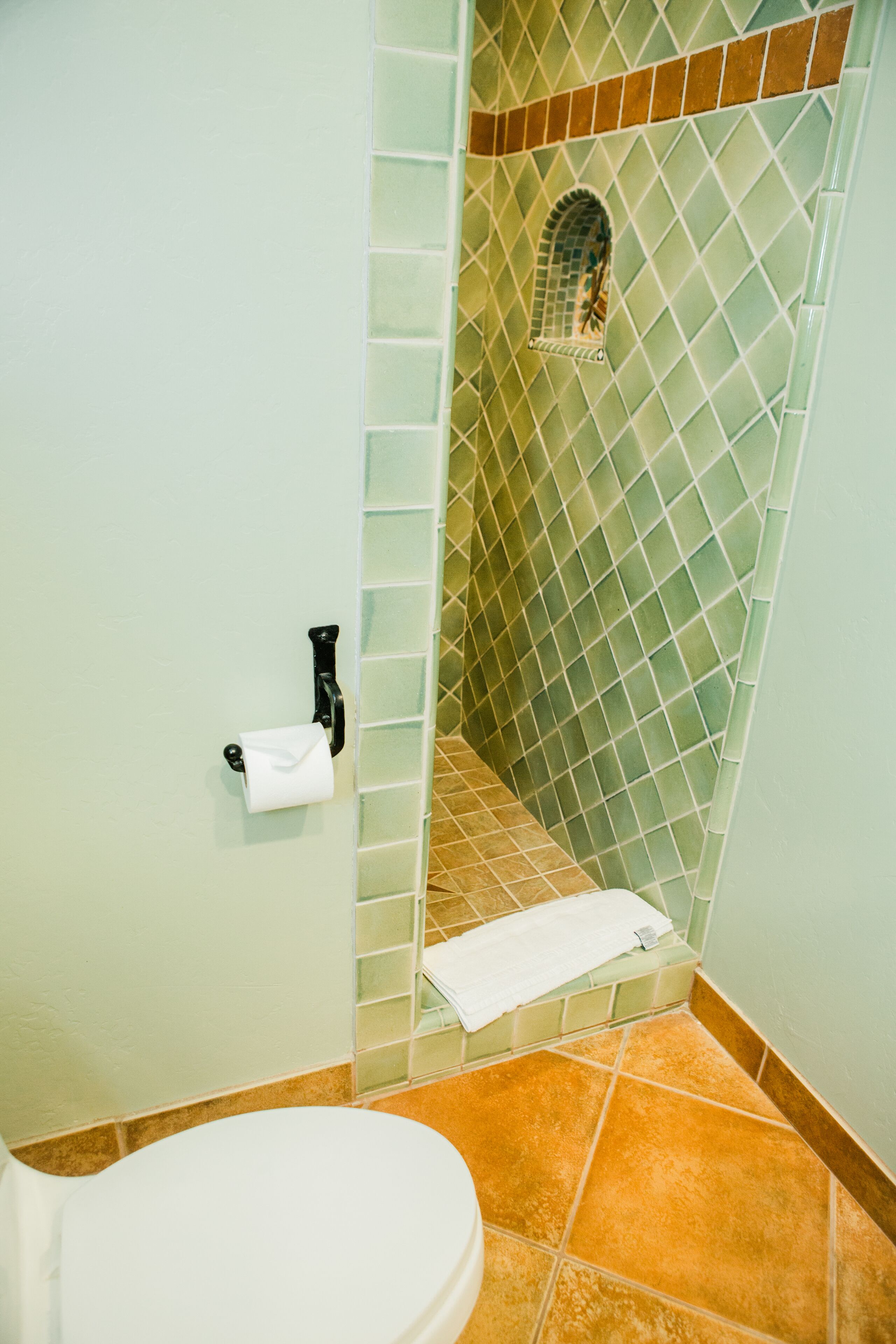 Une salle de bain avec une douche, des toilettes et un porte-serviettes.