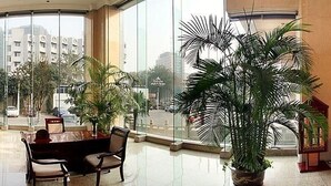 Lobby - Henan Jinqiao Hotel - Zhengzhou (Zhengzhou)