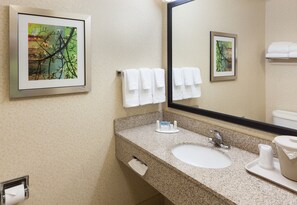 Combined shower/tub, free toiletries, hair dryer, towels