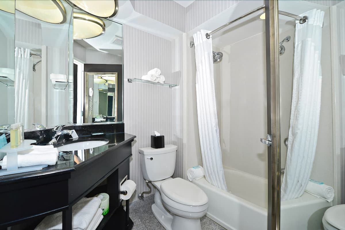 free toiletries, hair dryer, towels, soap