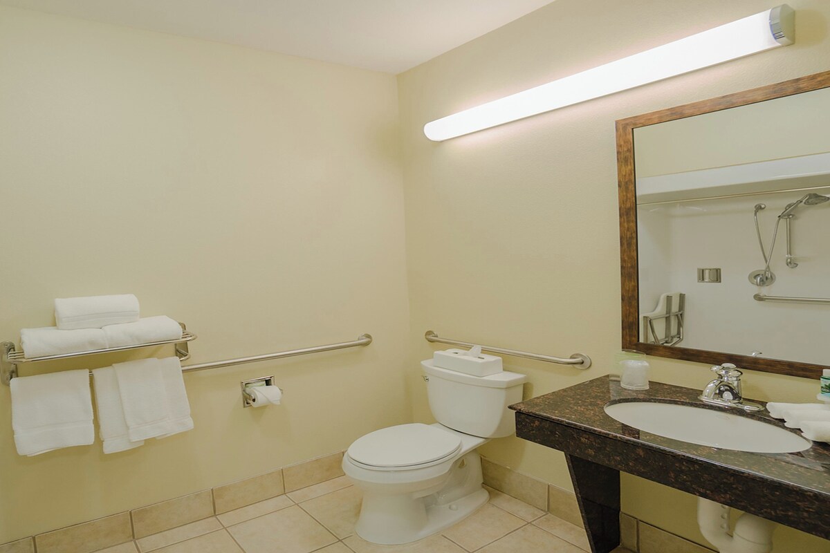 Chambre Standard, 1 très grand lit, accessible aux personnes à mobilité réduite (Roll-In Shower) | Coffre-fort, bureau, fer et planche à repasser, lit d’appoint (gratuit)
