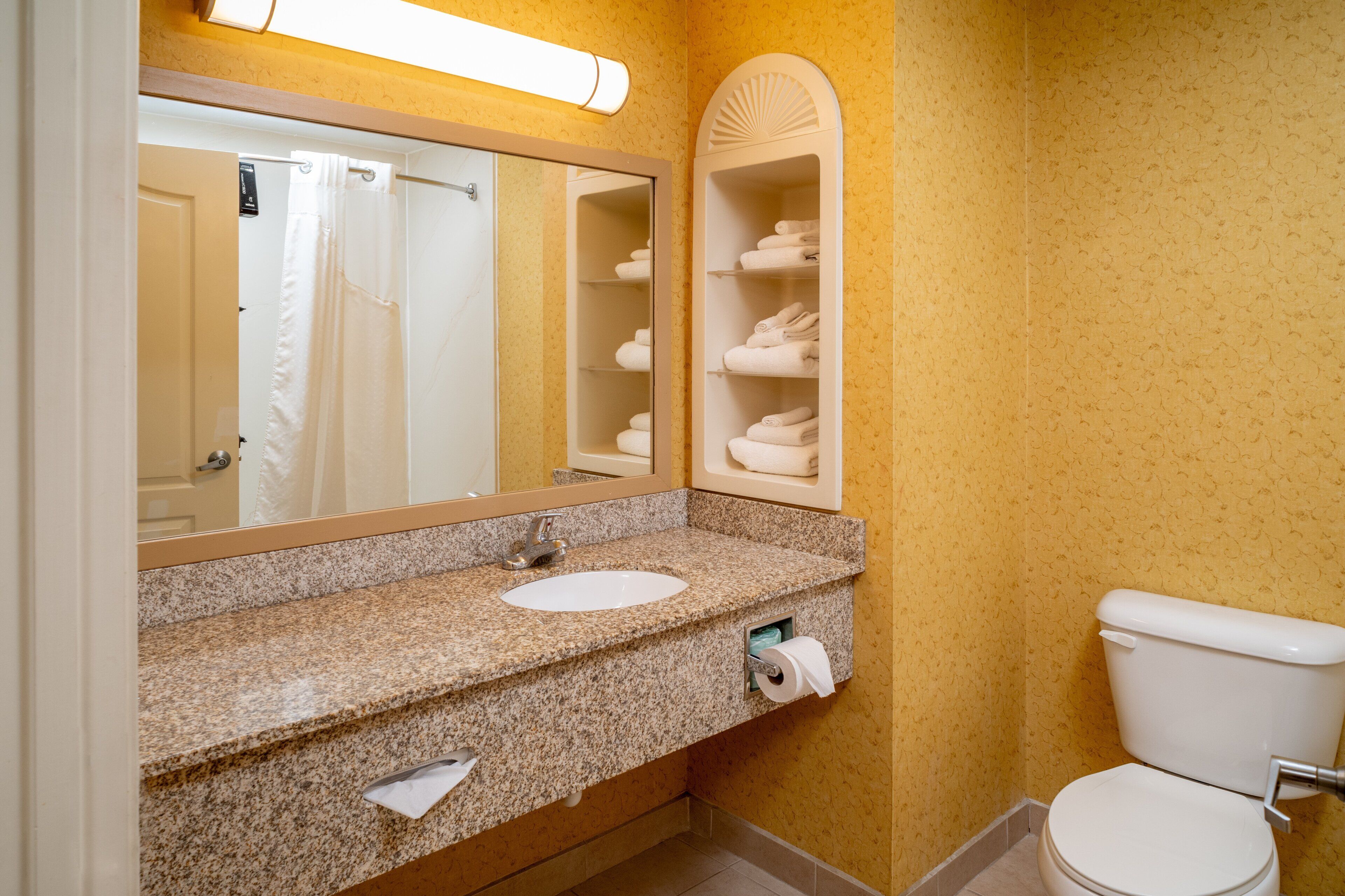 A bathroom with a granite countertop, a sink, a toilet, a towel rack, and a mirror.