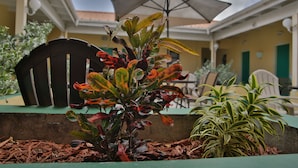 Un patio con una planta pequeña, una silla y una sombrilla.