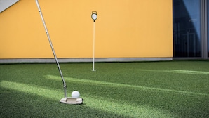 A golf course with a putting green, a golf ball, and a flagstick.