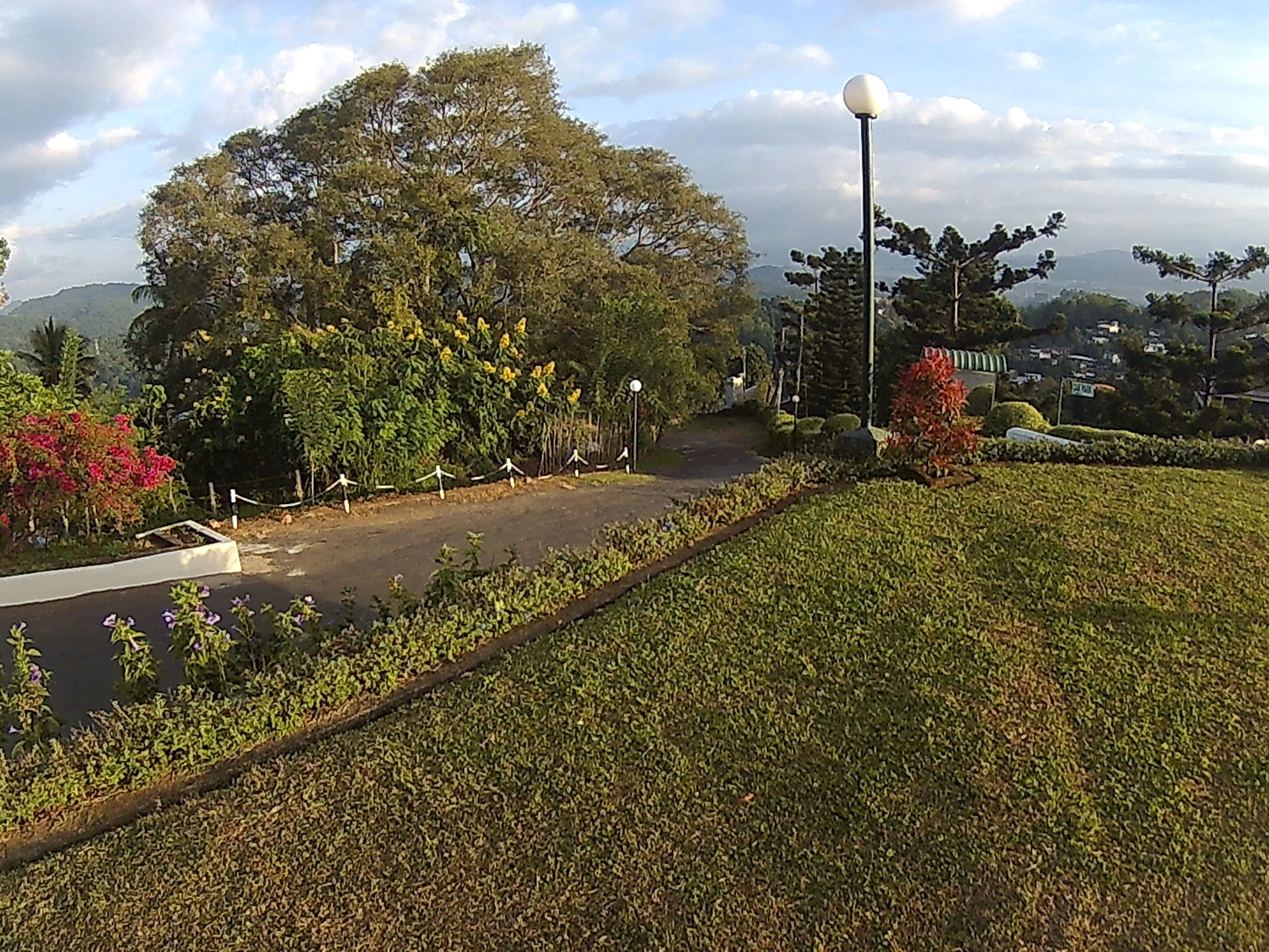 Zona ajardinada con un sendero, árboles y un farol.