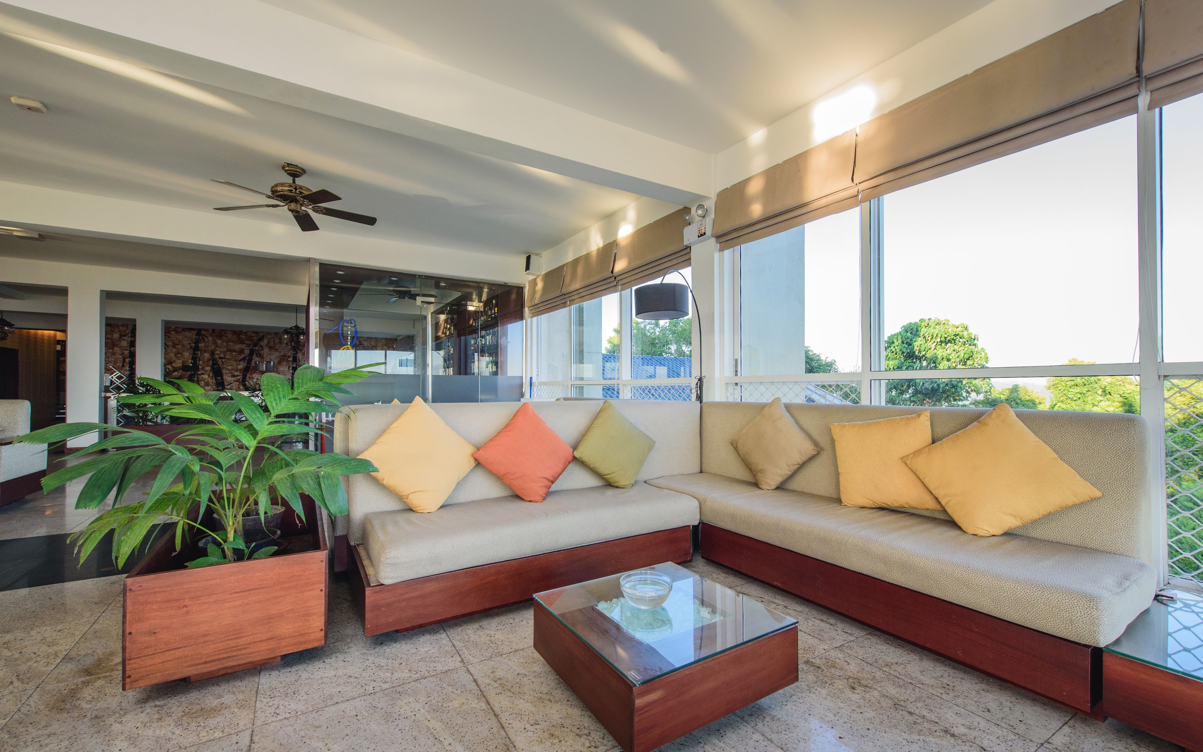 A modern living room with a sectional sofa, a glass coffee table, and potted plants.