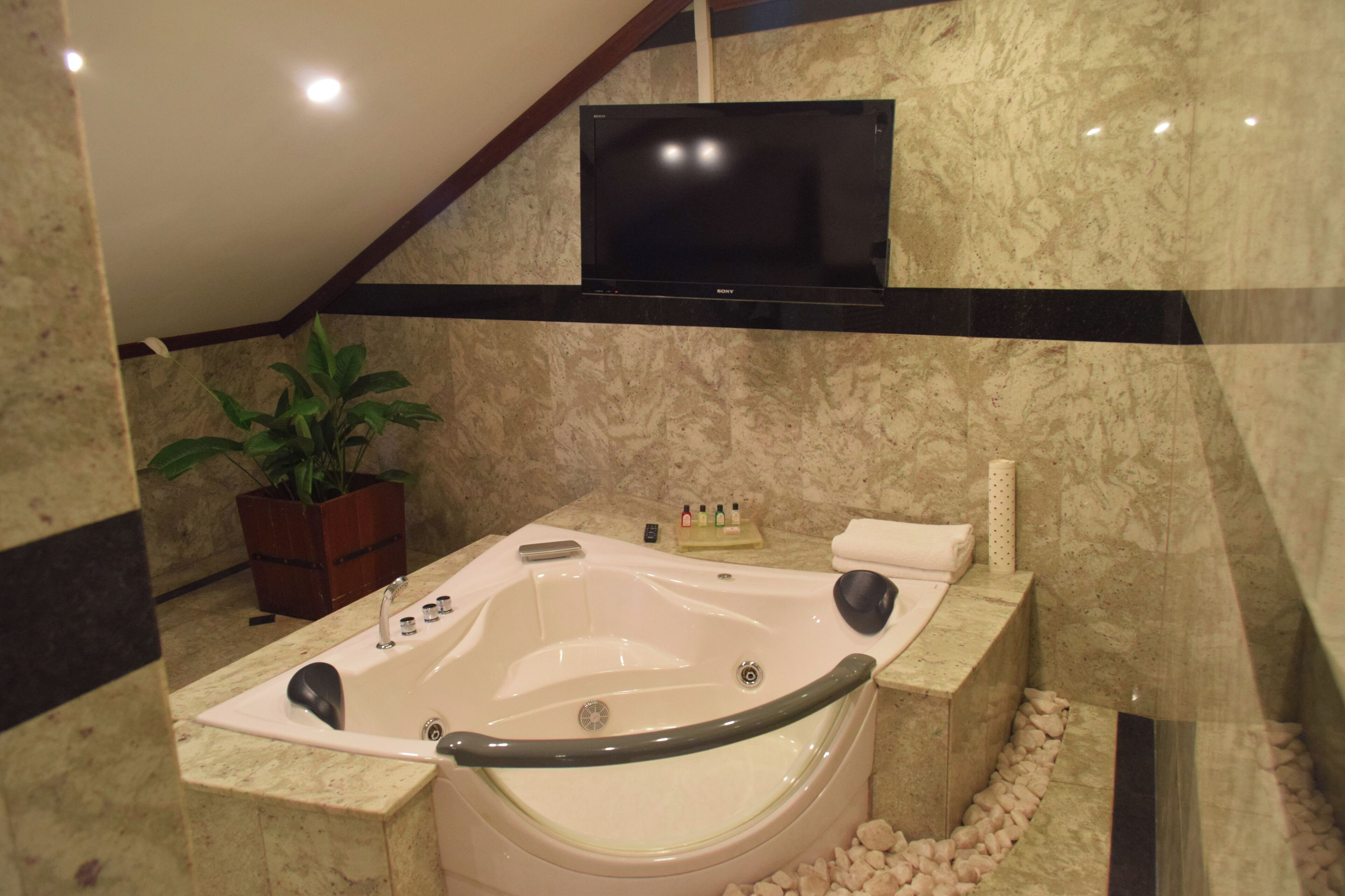 A modern bathroom with a large bathtub, a mounted TV, and a potted plant.