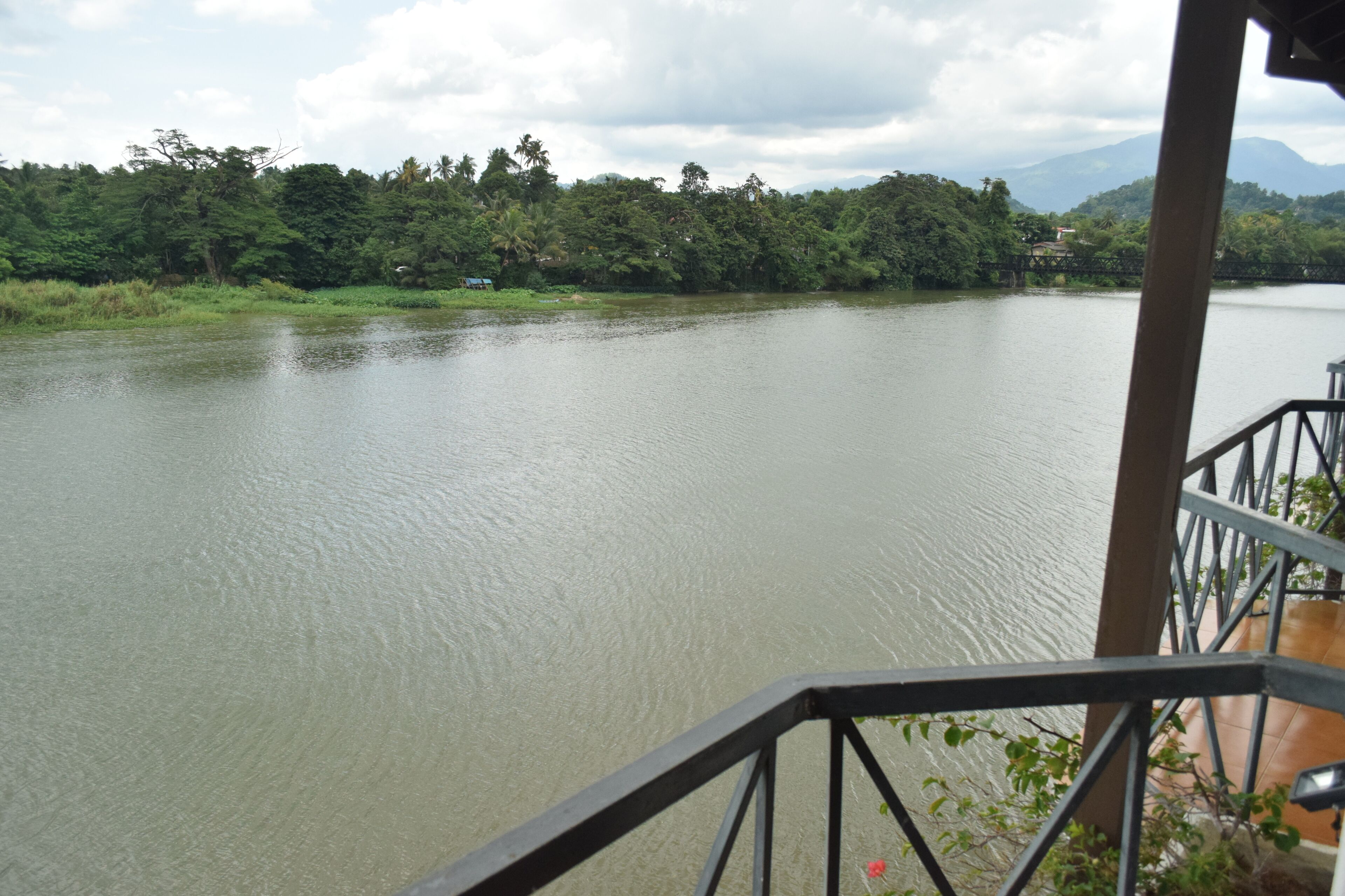 A river with a bridge in the background, surrounded by lush greenery.