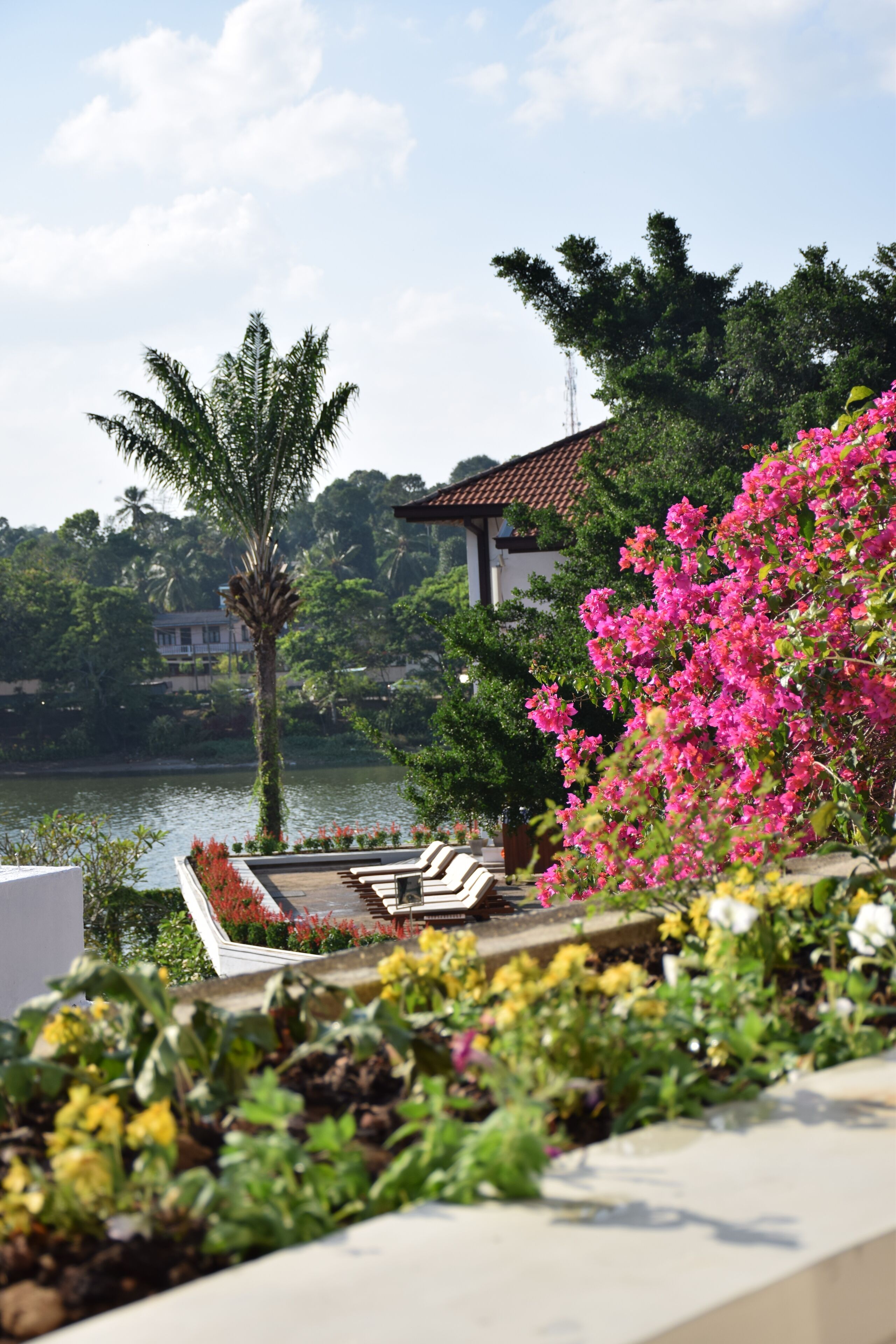 Foto - Mahaweli Reach Hotel