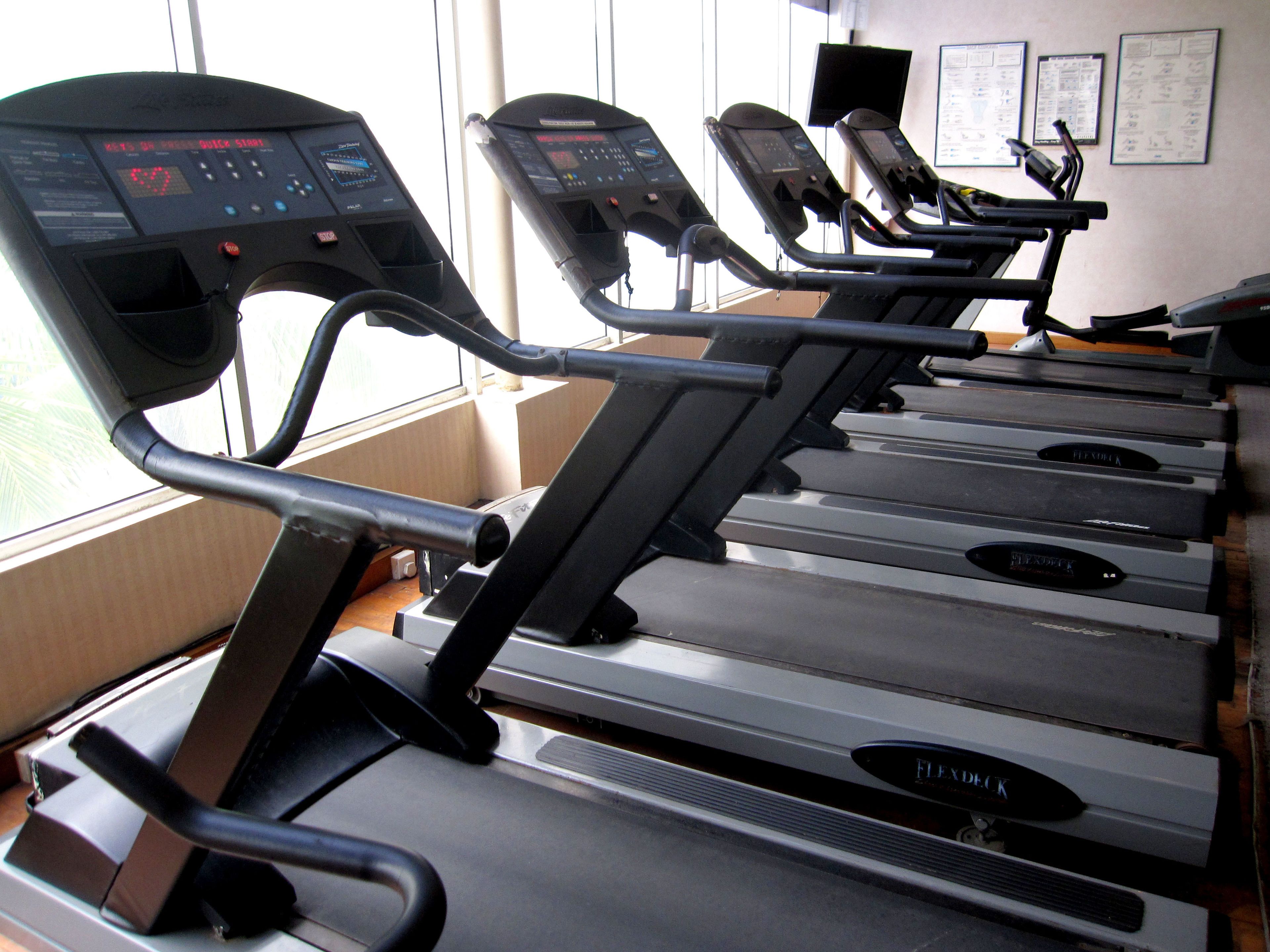 A row of treadmills in a gym with a window in the background.