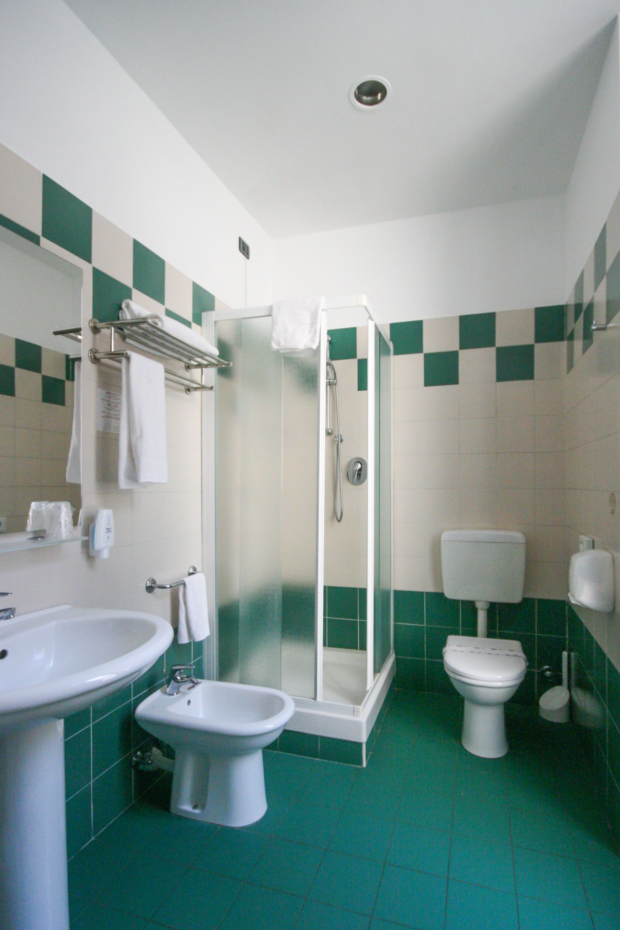 combined shower/bathtub, rainfall showerhead, hair dryer, towels