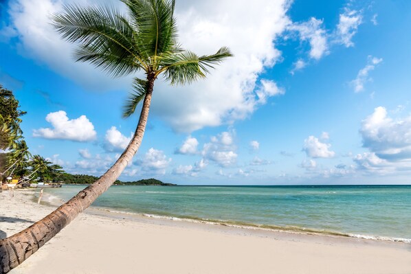 On the beach, sun loungers, beach umbrellas, beach towels
