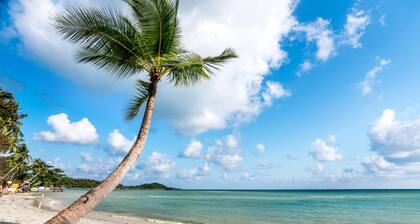 Beyond Samui
