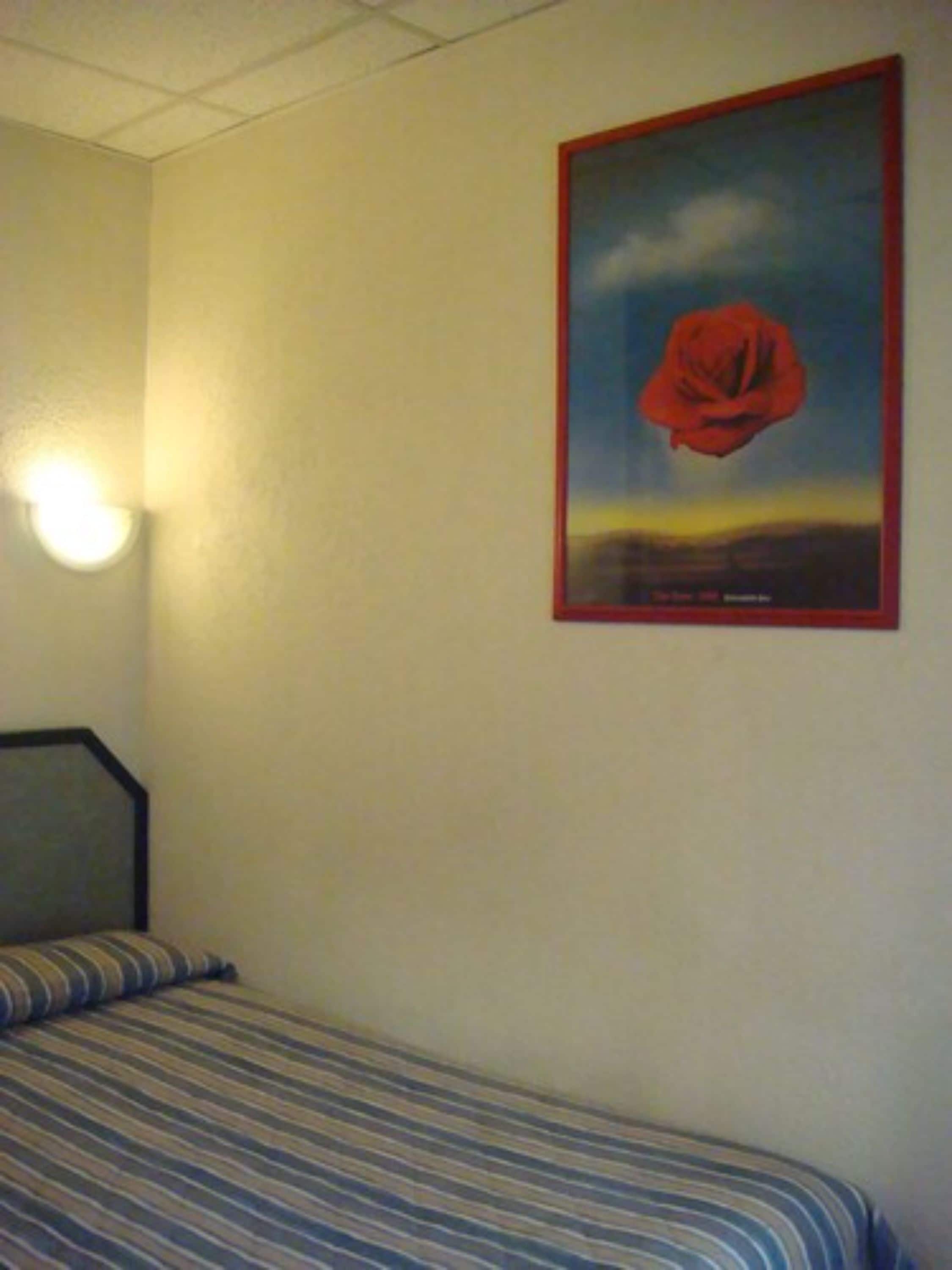 A single bed with a striped bedspread in a room with a plain wall and a framed picture of a red rose.
