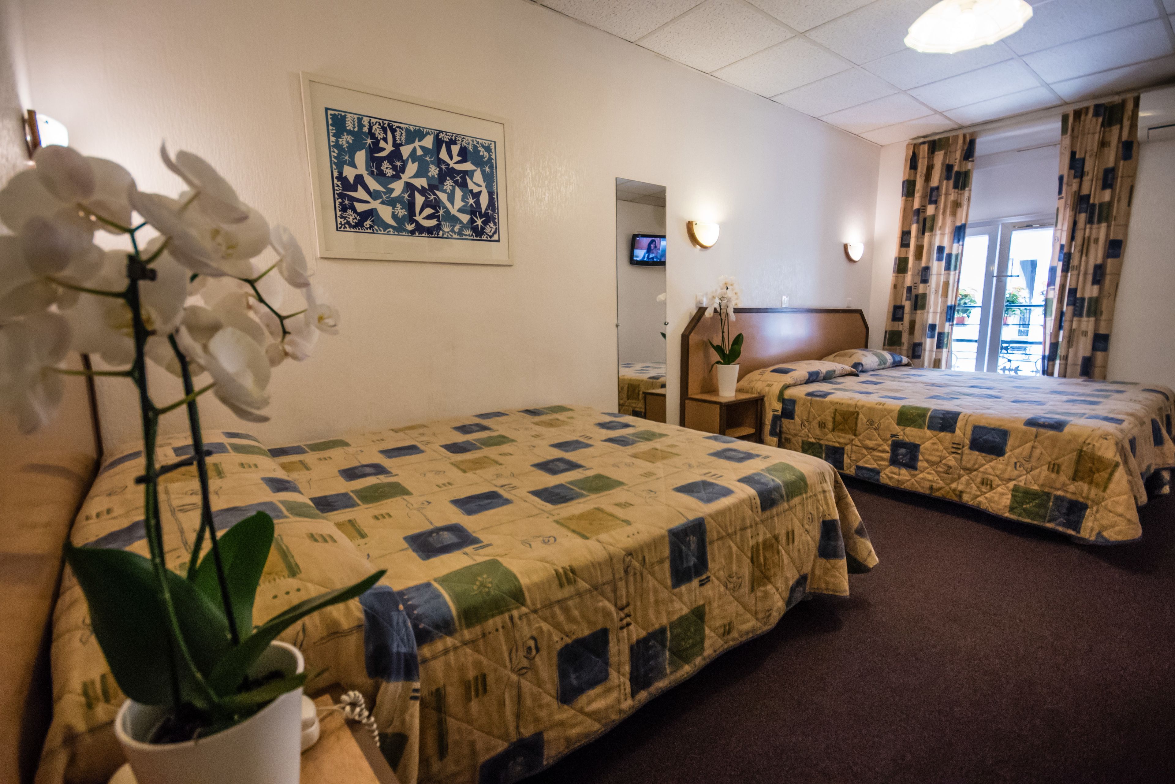 A hotel room with two beds, a potted orchid, a framed artwork, a television, and a window with curtains.