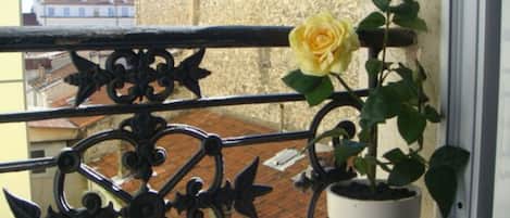 A balcony with a potted rose plant and a metal railing.