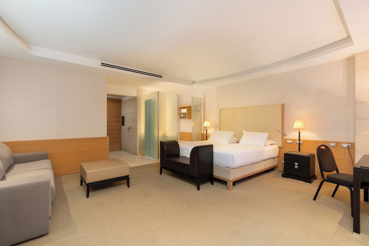 A hotel room with a bed, a sofa, a desk, and a chair.