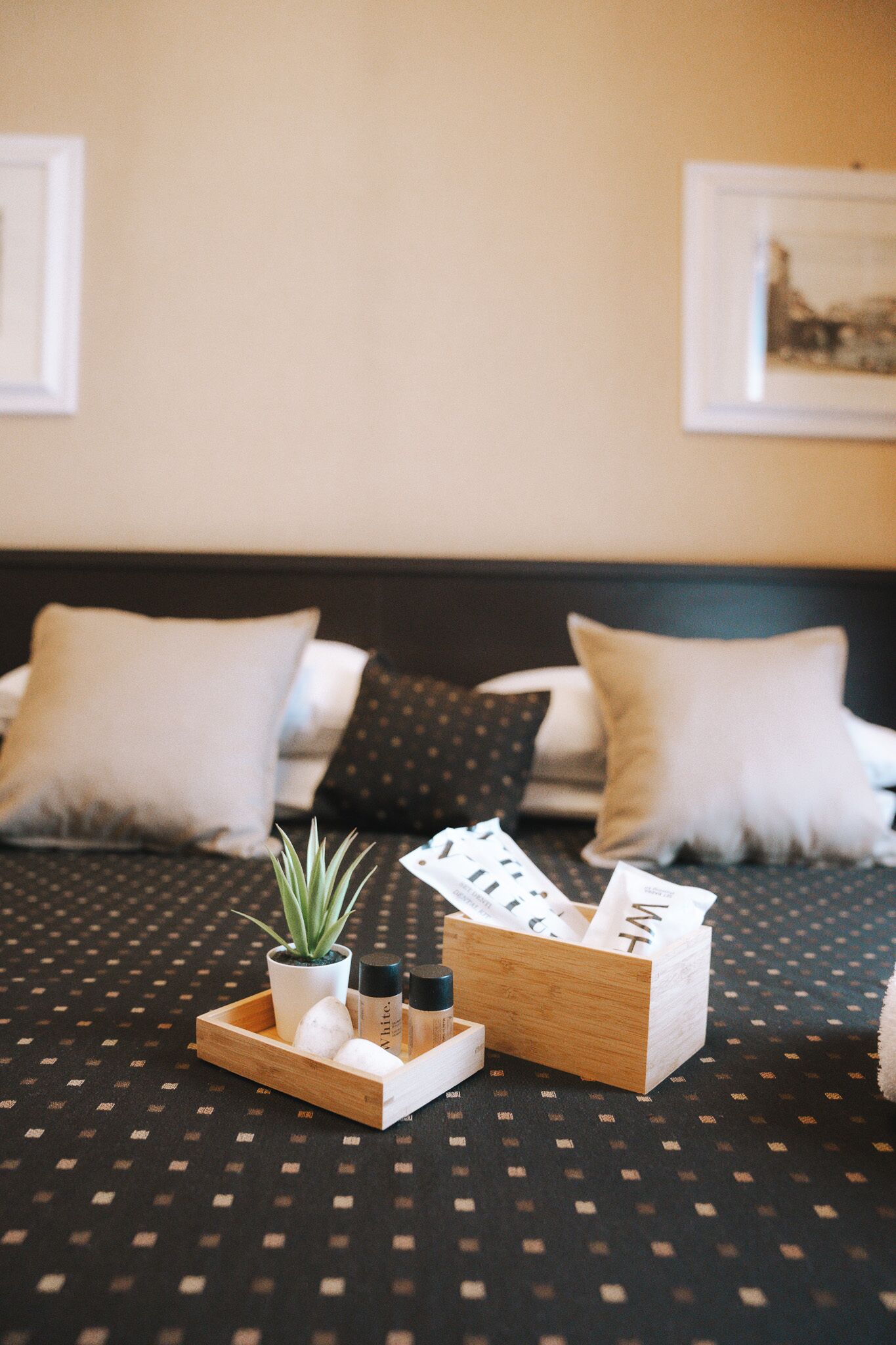 Foto - Hotel Latinum