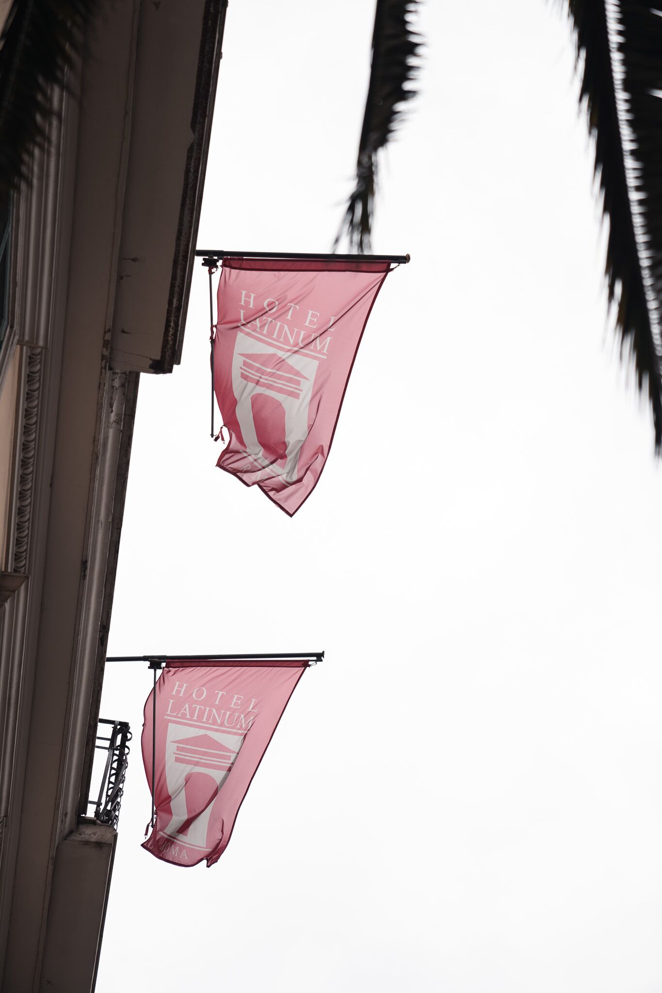 Foto - Hotel Latinum