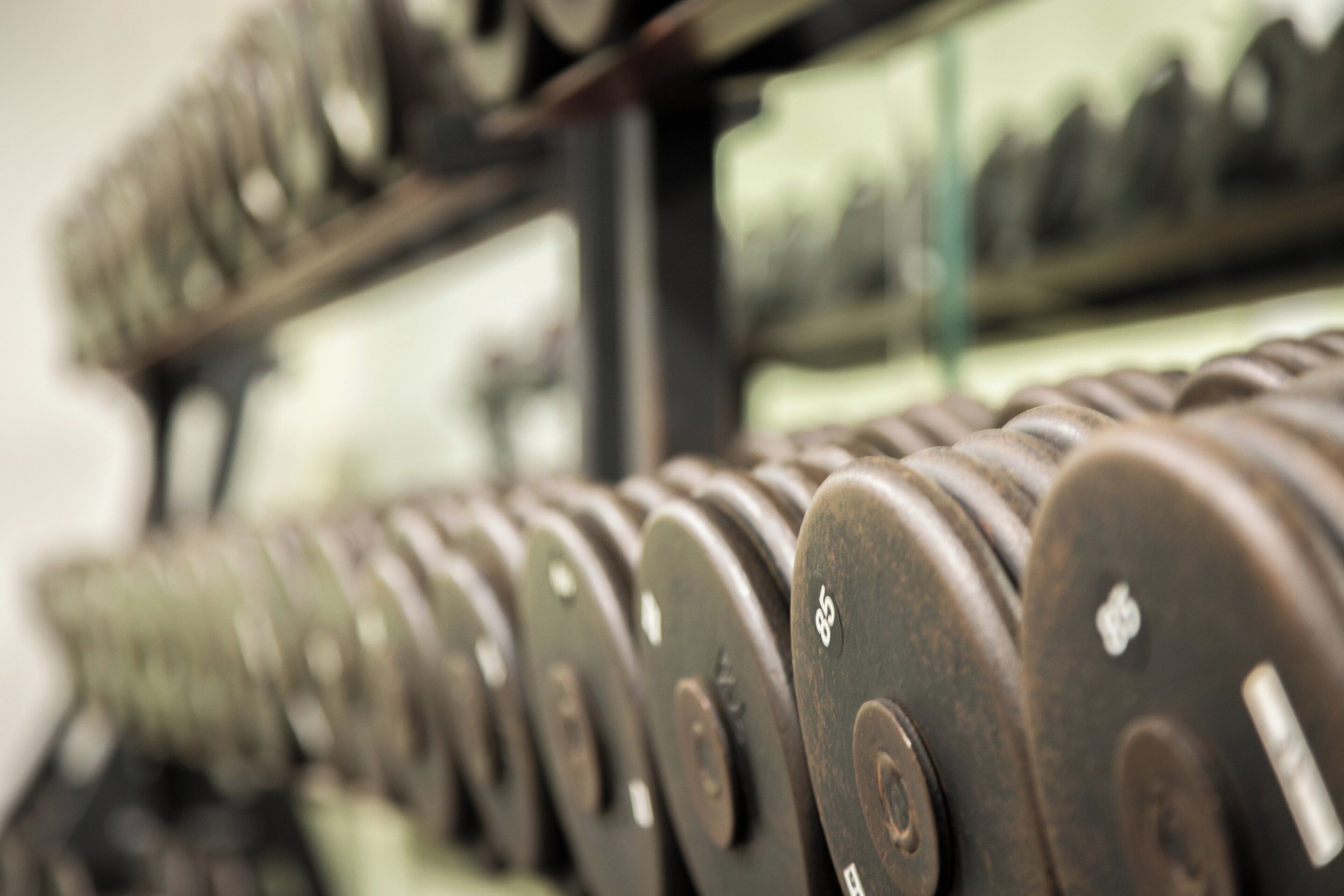 A row of dumbbells with weight markings, indicating a gym setting.