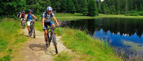 A group of cyclists on a dirt path beside a lake with dense forest in the background.