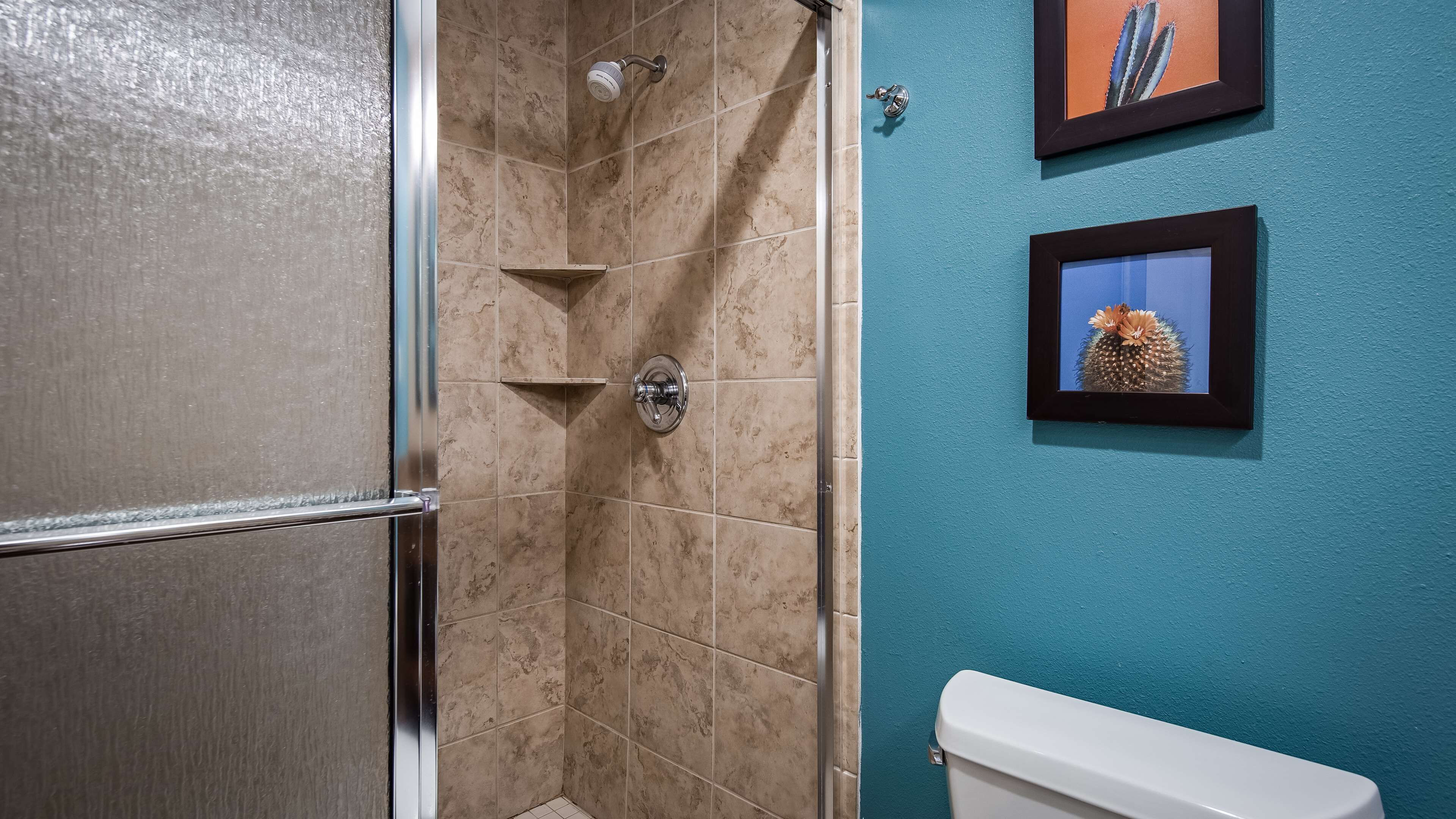 combined shower/bathtub, hair dryer, towels