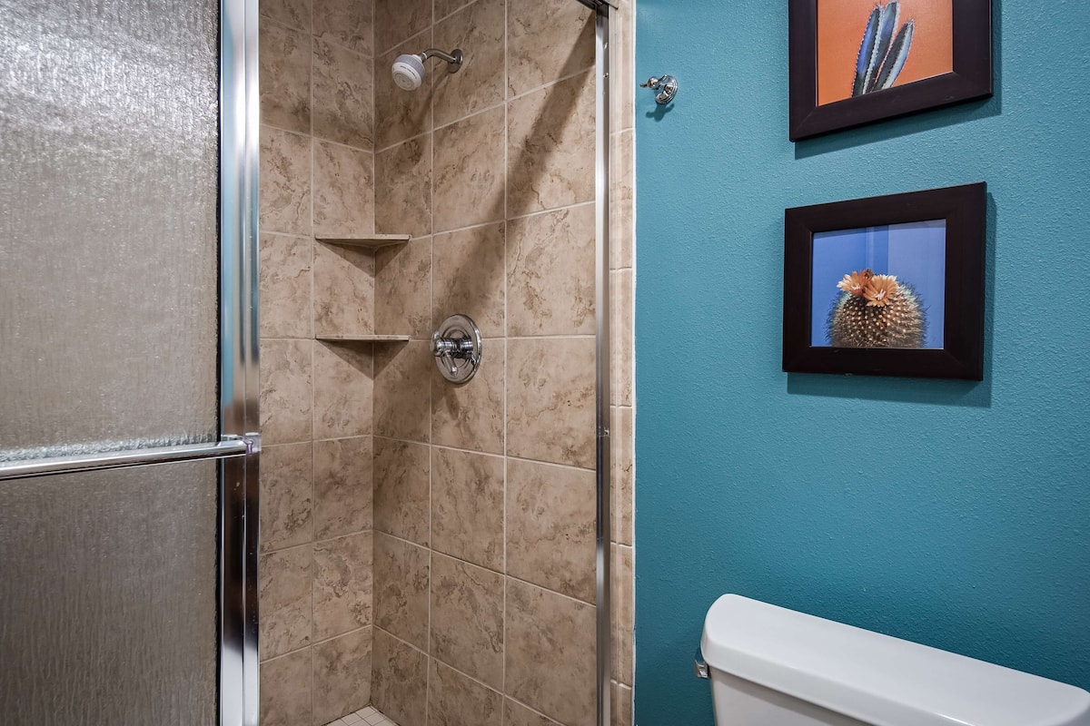 combined shower/bathtub, hair dryer, towels