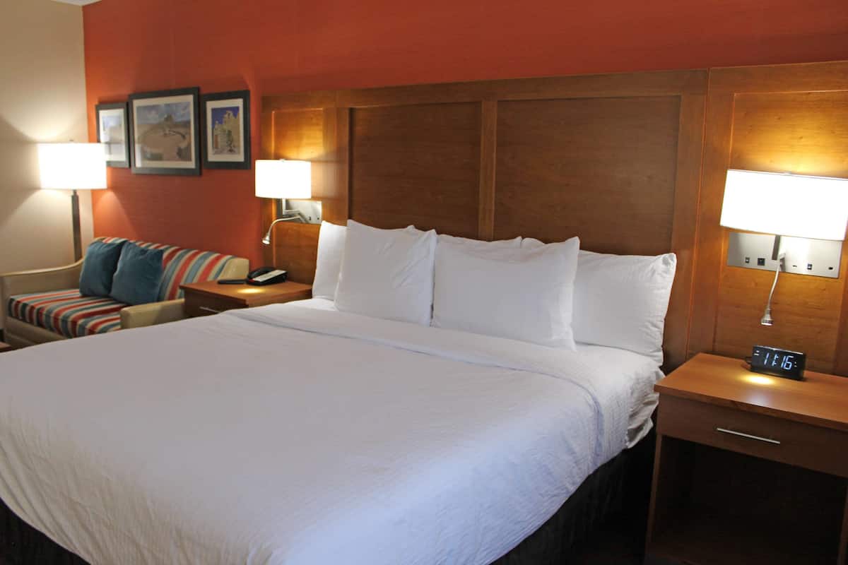 Suite, 1 Tempat Tidur King, akses difabel, lemari es & microwave (with Sofabed) | Bantalan ekstra lembut, meja kerja, dan ruang kerja ramah laptop