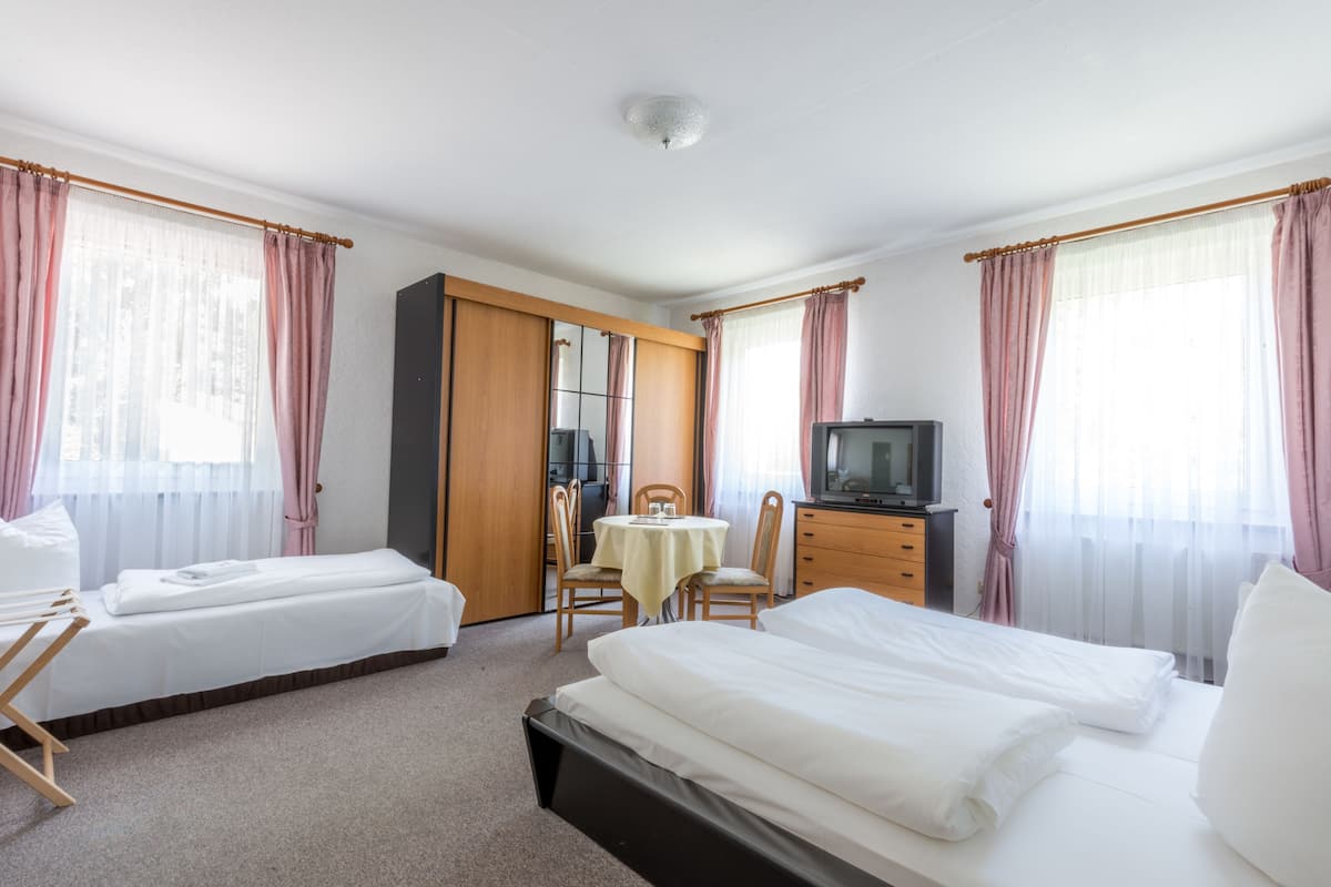 Une chambre d’hôtel avec deux lits, un bureau, une télévision et un miroir.