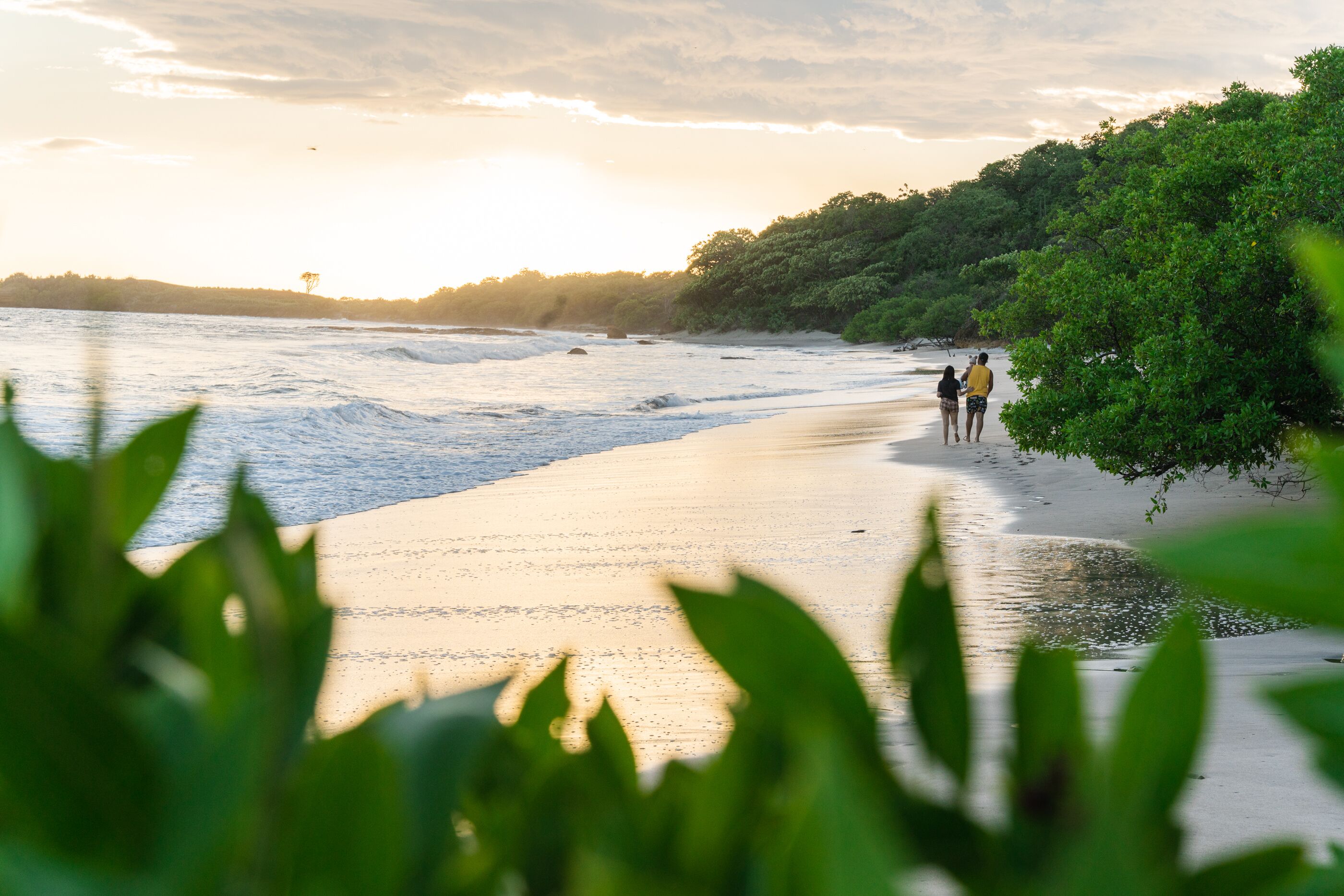 Una playa con dos personas caminando por la orilla, rodeada de follaje y árboles.