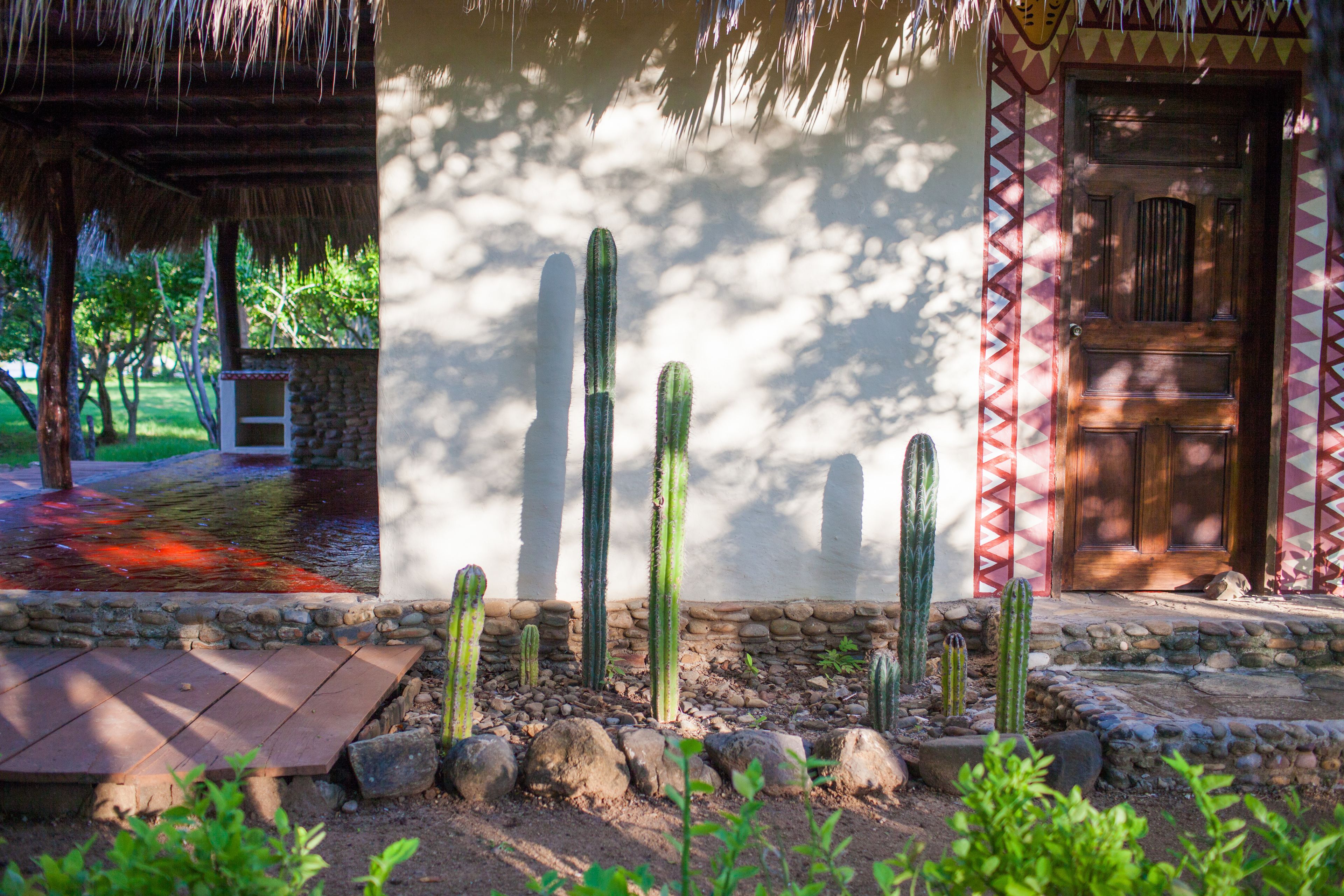 Un jardin de cactus doté d’une porte en bois et d’une structure surmontée d’un toit de chaume.