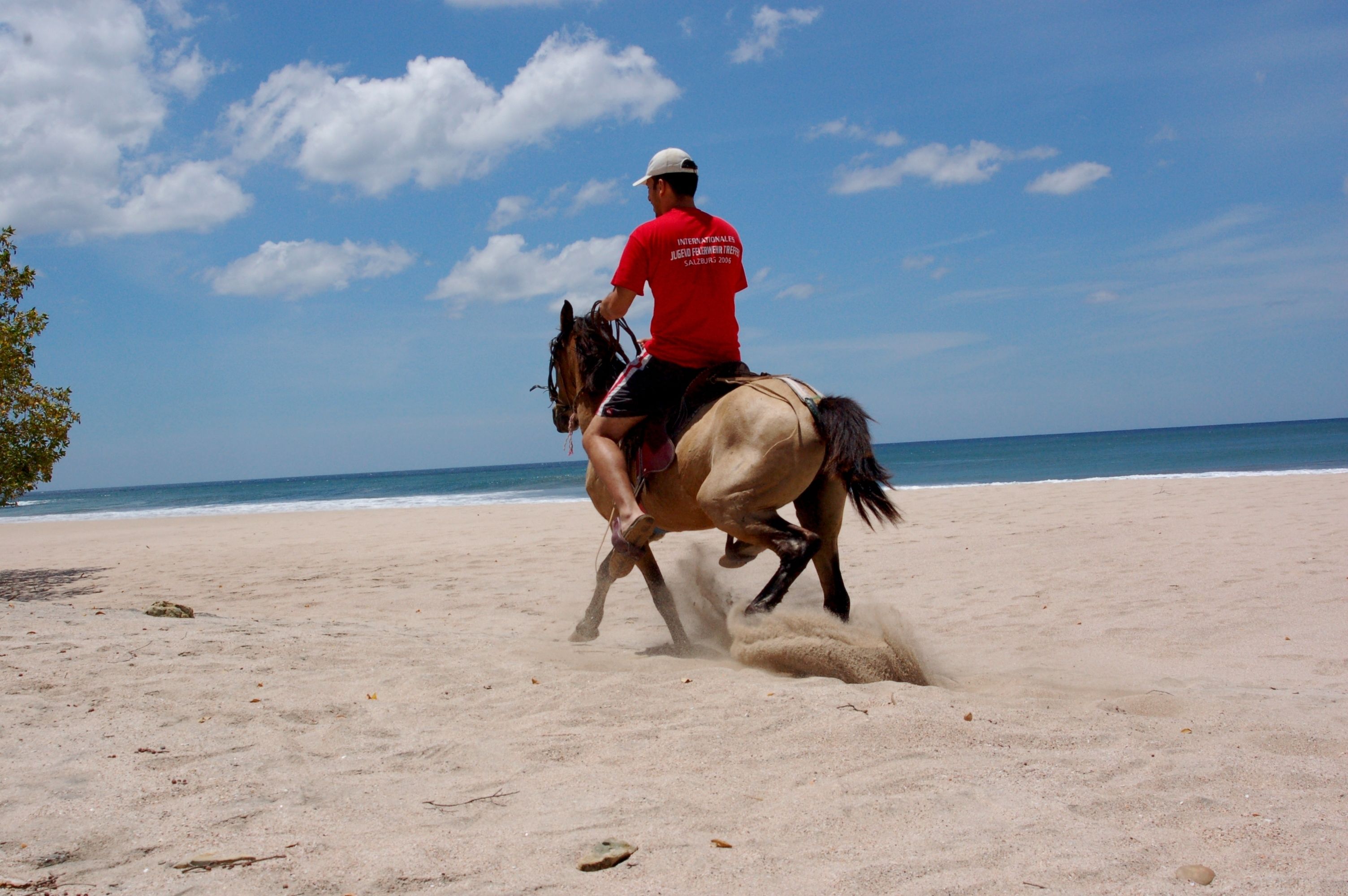 A person riding a horse on a sandy beach with the ocean in the background.