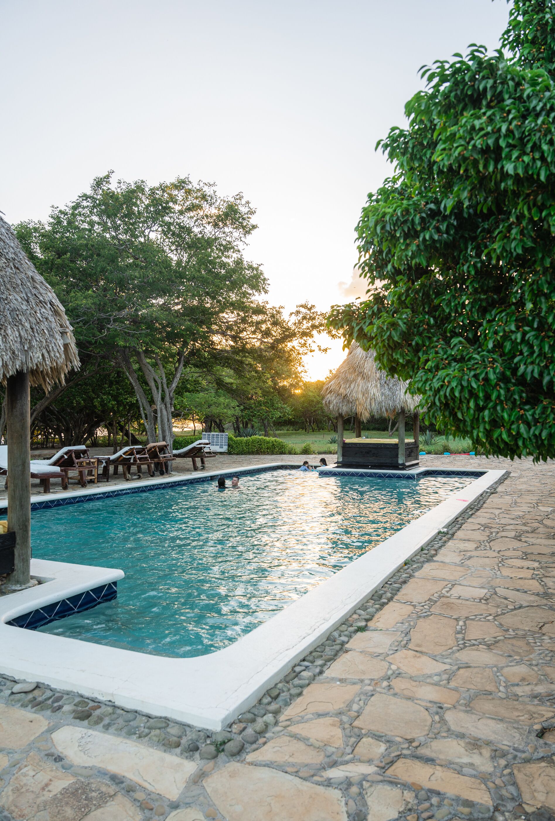 A swimming pool with lounge chairs and a thatched-roof structure, surrounded by trees and stone pathways.